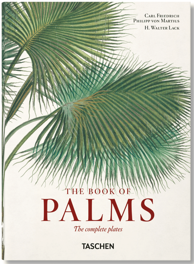 Book of Palms - Poured Candle Bar