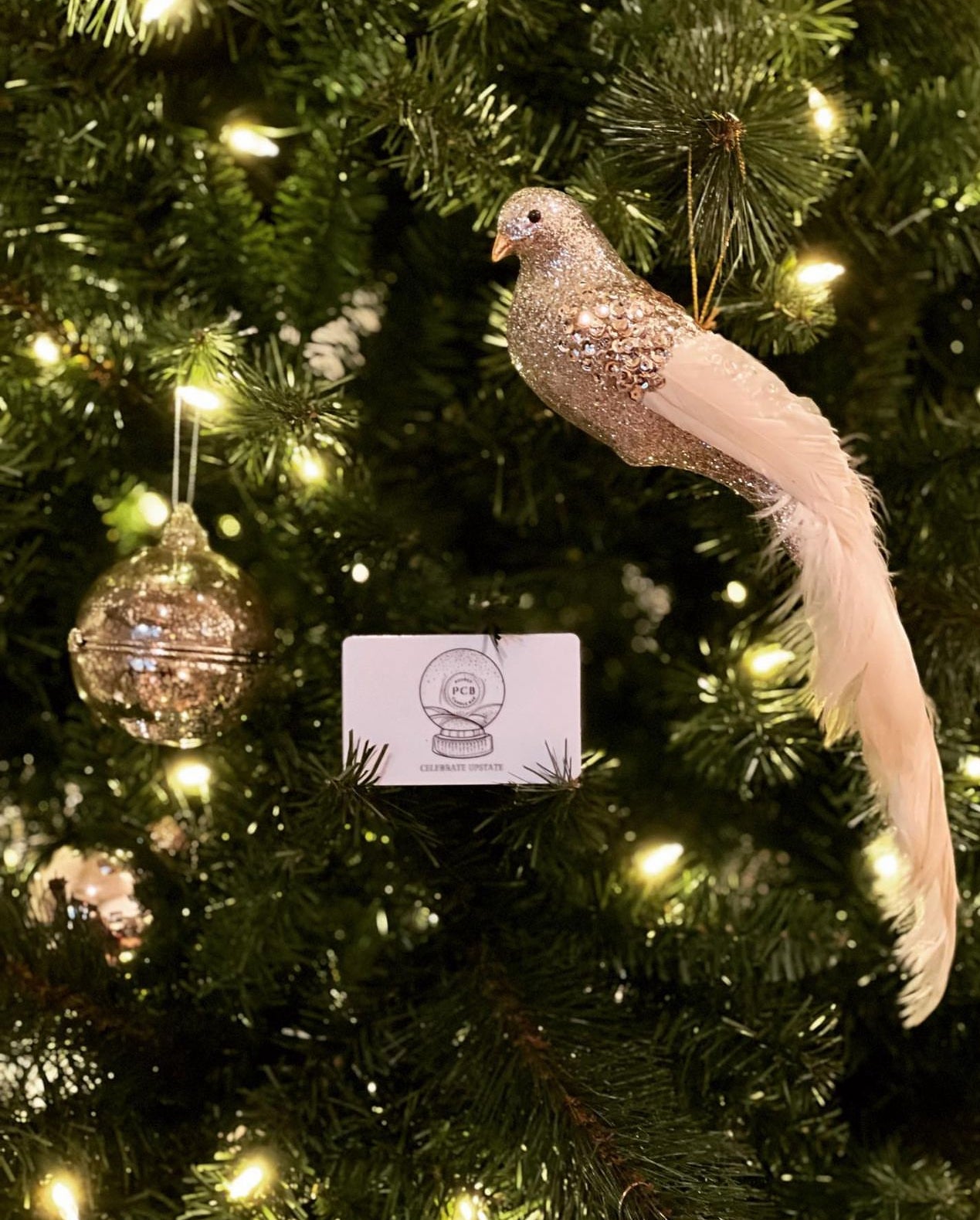 PCB Gift Cards - Poured Candle Bar