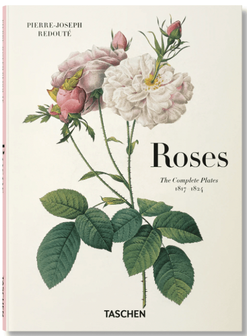 Redouté. Roses - Poured Candle Bar