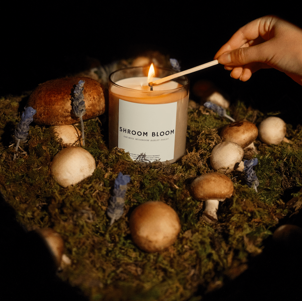SHROOM BLOOM - Poured Candle Bar