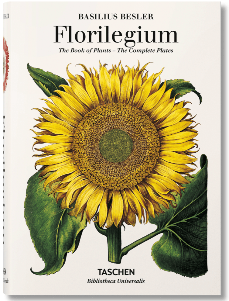 THE BOOK OF PLANTS - Poured Candle Bar