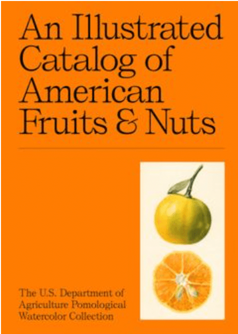 An Illustrated Catalog of American Fruits & Nuts - Poured Candle Bar